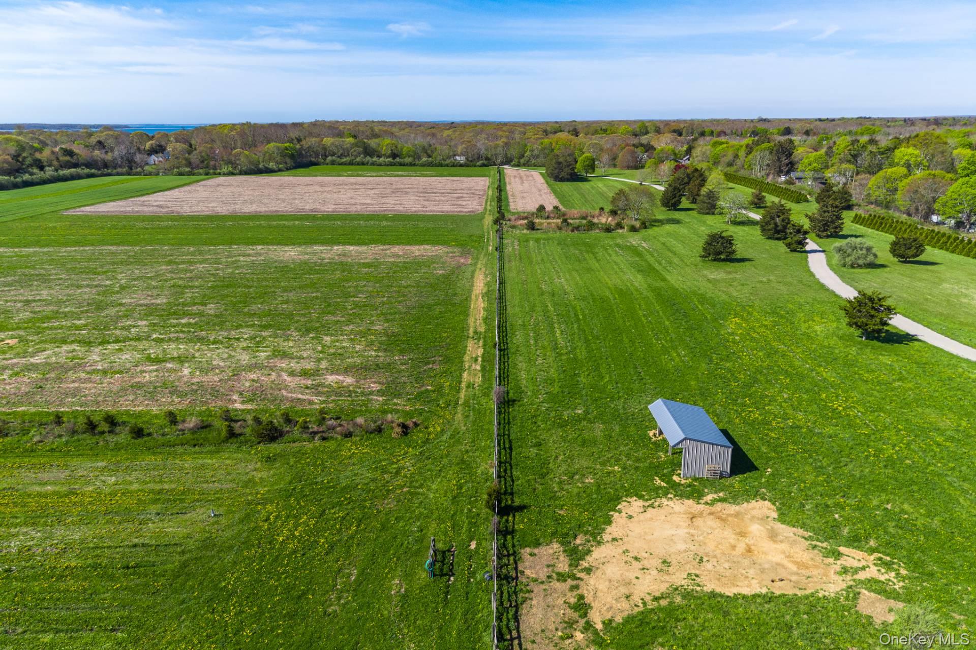 3123 & 3595 Skunk Lane – For Sale photo 12