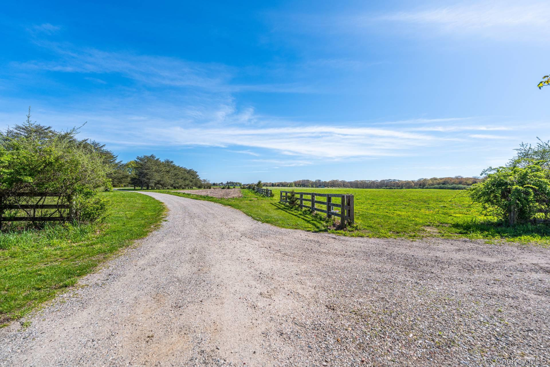 3123 & 3595 Skunk Lane – For Sale photo 3