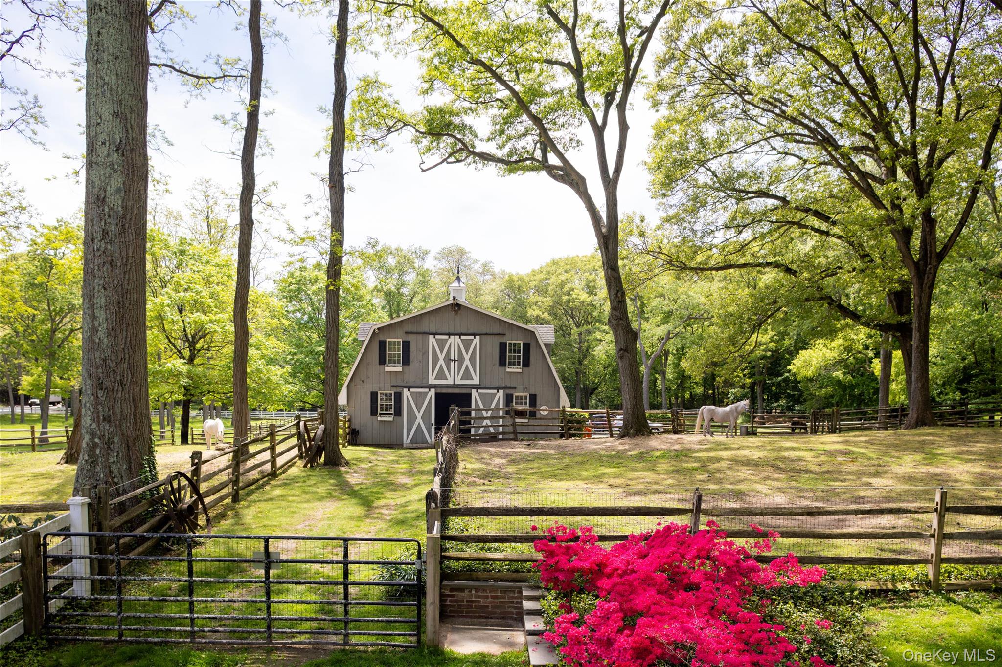 550 Chicken Valley Road – For Sale photo 21
