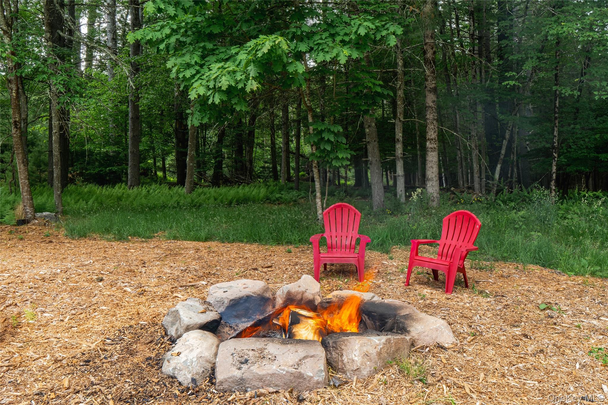5973 State Route 97 – For Sale photo 28