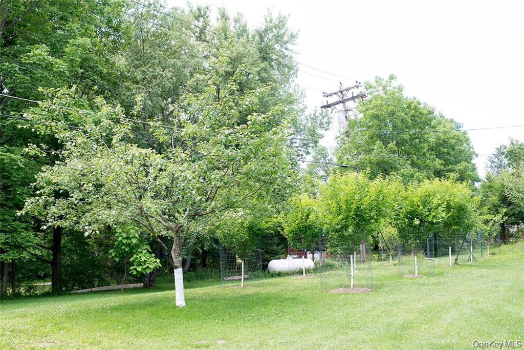 48 Loomis Village Road – For Sale photo 43