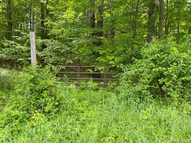 467 Roosevelt Avenue – For Sale photo 7