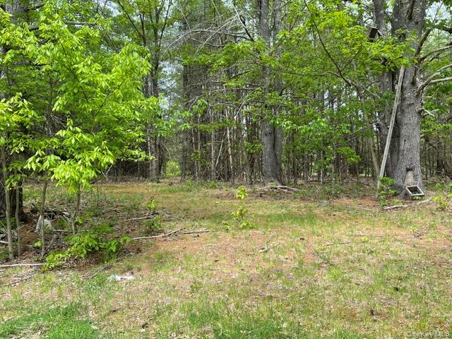 467 Roosevelt Avenue – For Sale photo 4