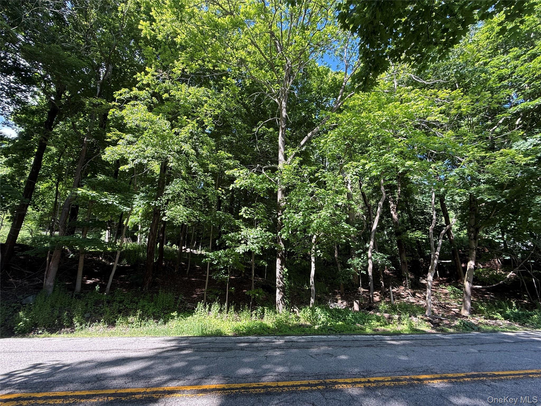 Rt-292 – For Sale photo 5