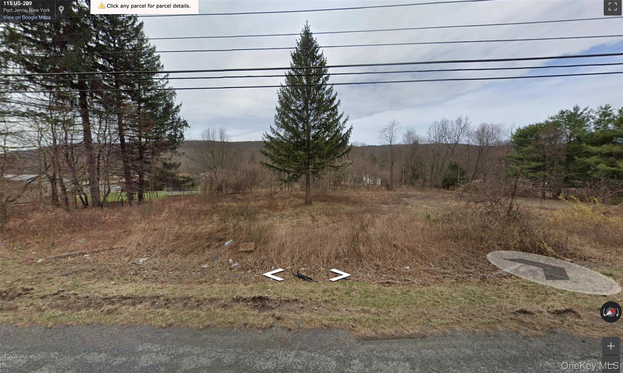 113 Route 209 – For Sale