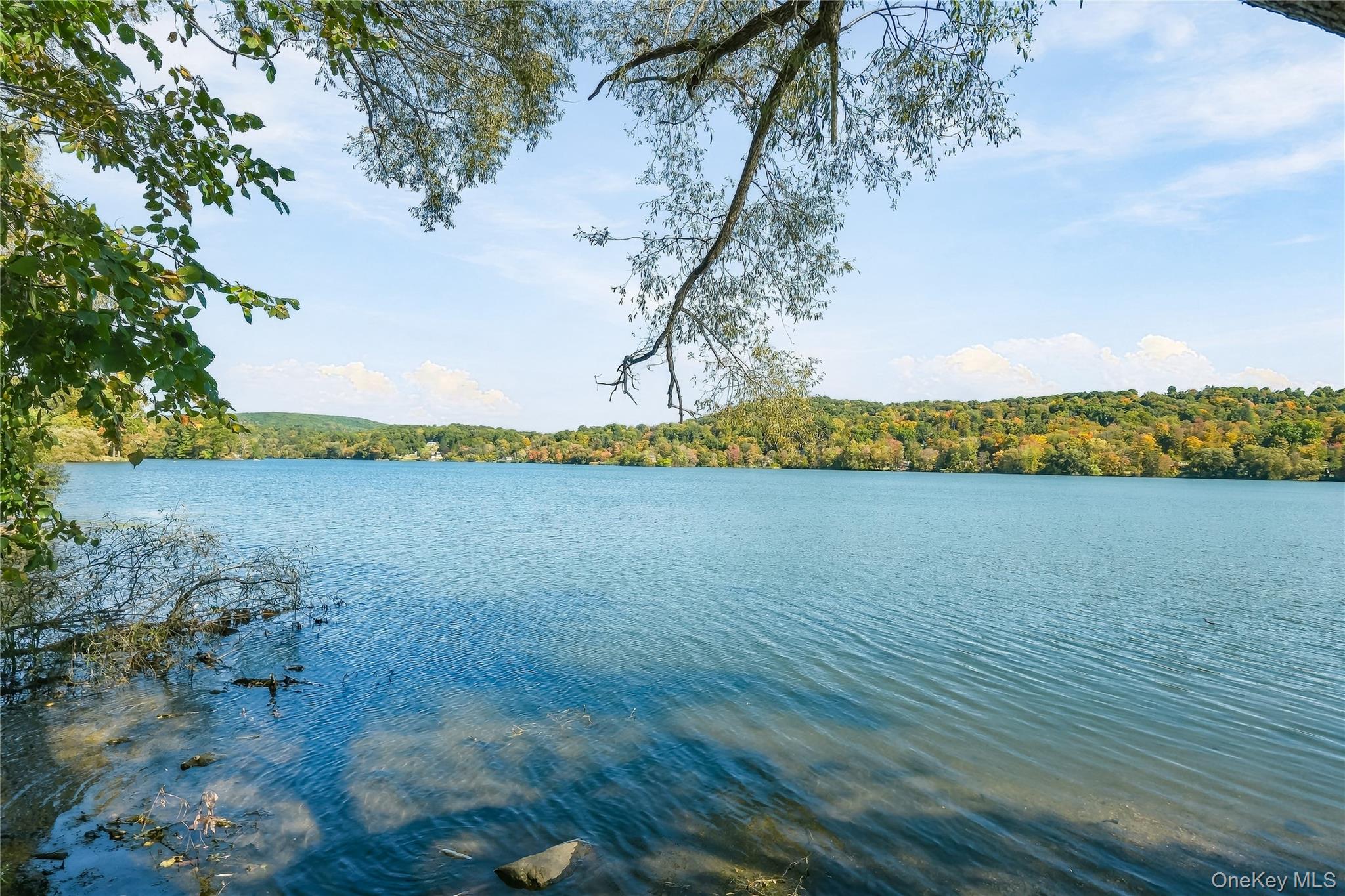 34 Rutland Drive – For Sale photo 48