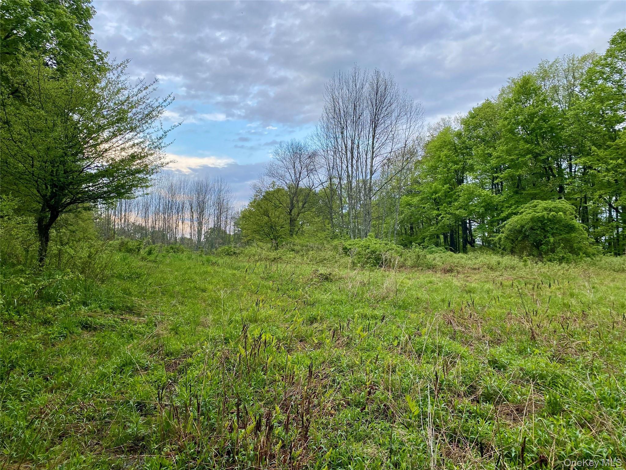 301 & 305 Hust Road Hust – For Sale photo 10