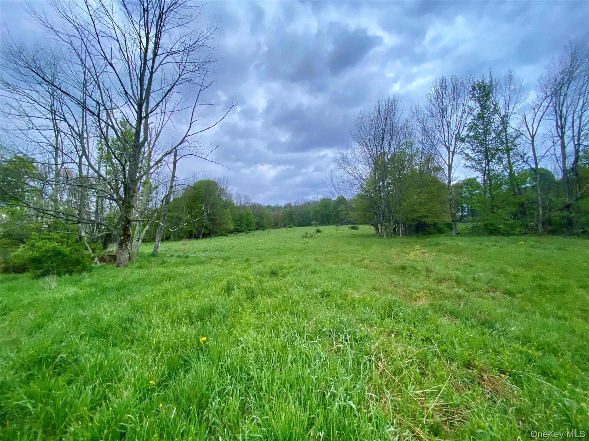 301 & 305 Hust Road Hust – For Sale photo 17