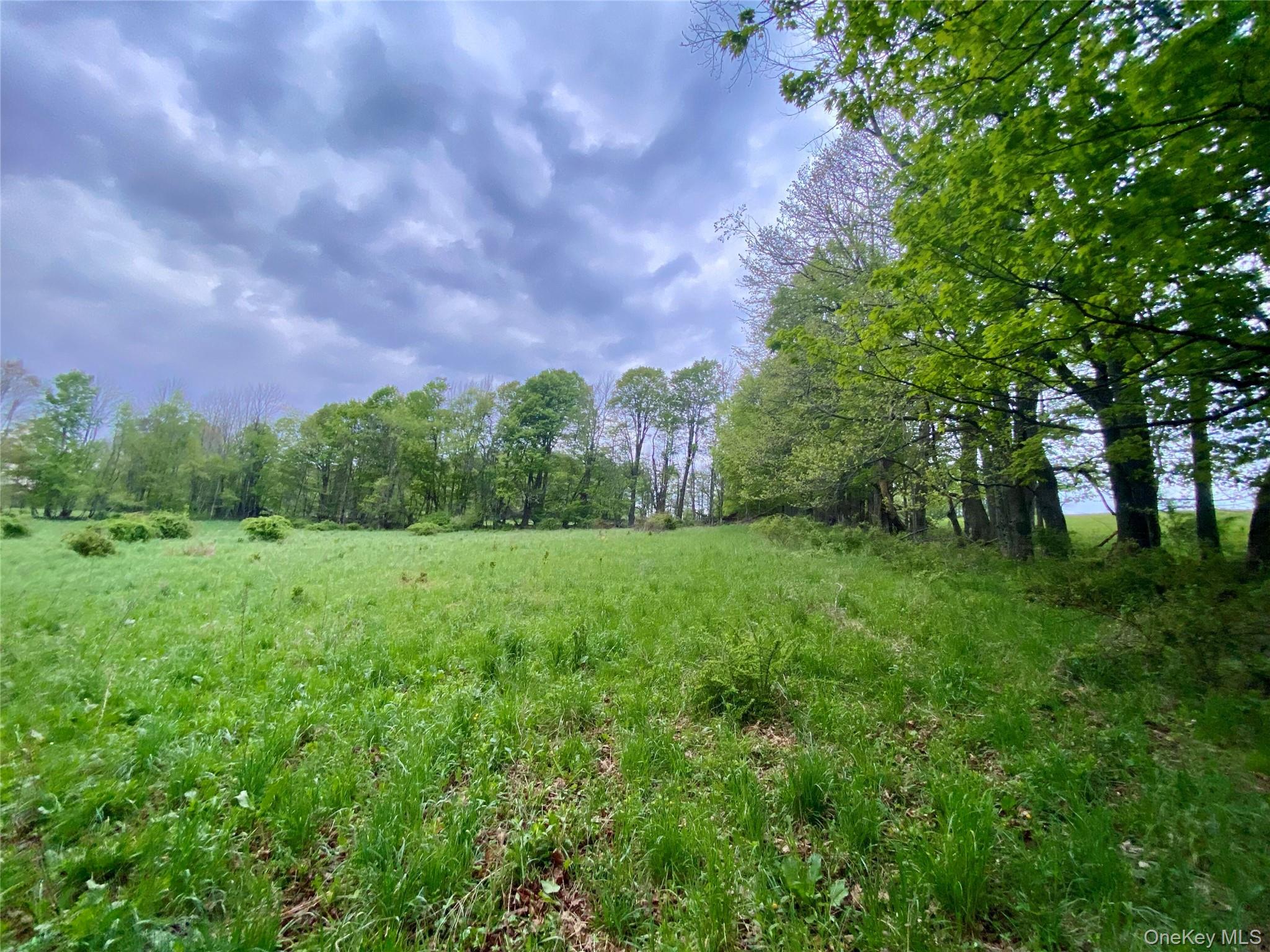 301 & 305 Hust Road Hust – For Sale photo 18