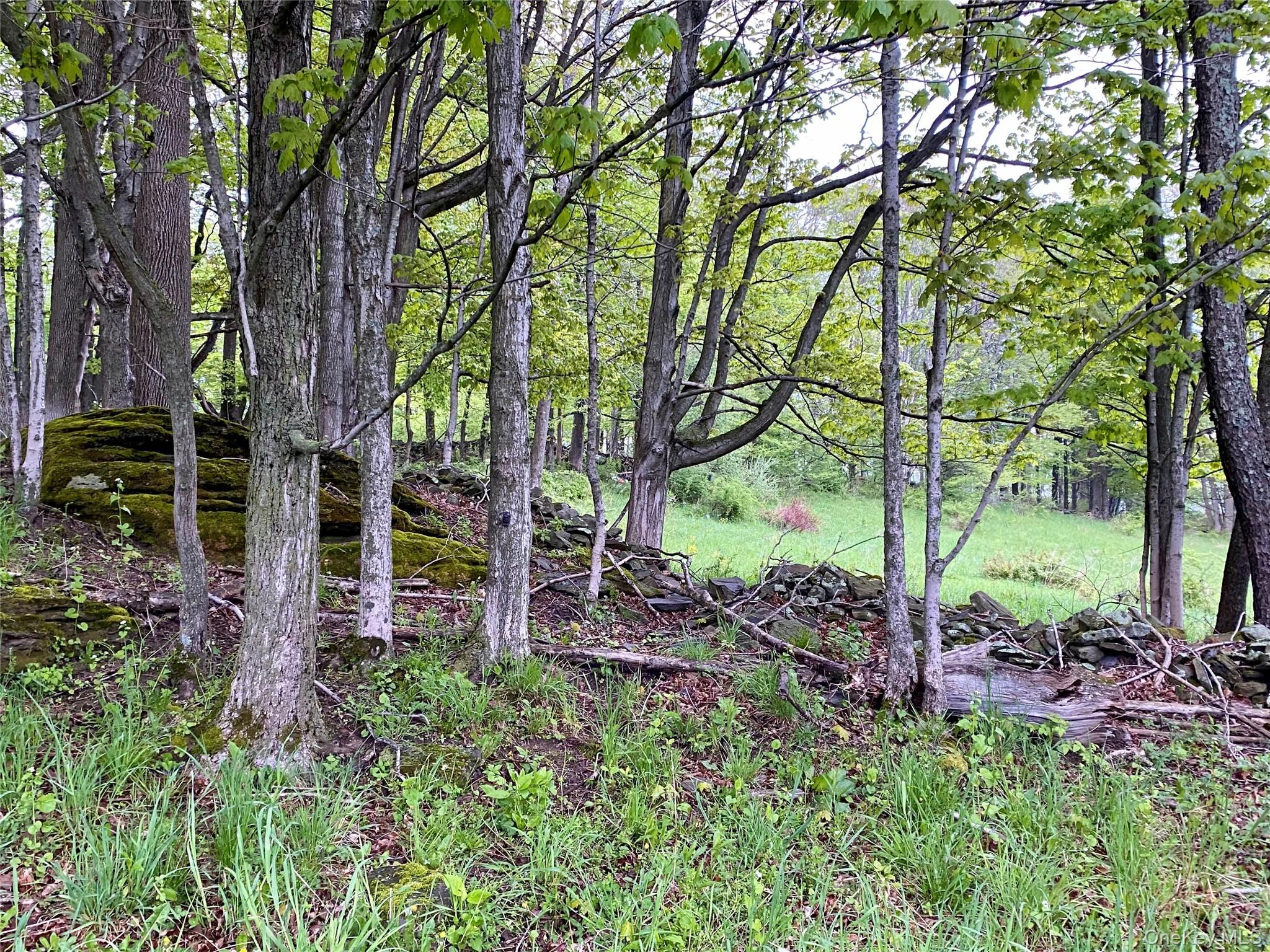 301 & 305 Hust Road Hust – For Sale photo 3