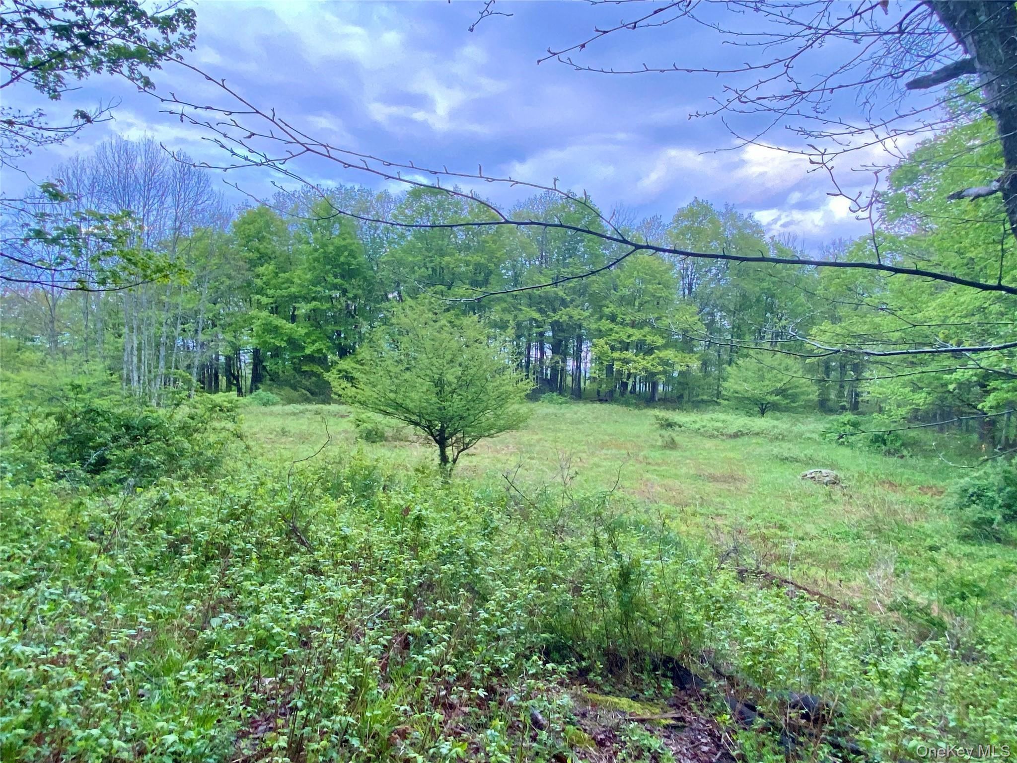 301 & 305 Hust Road Hust – For Sale photo 9