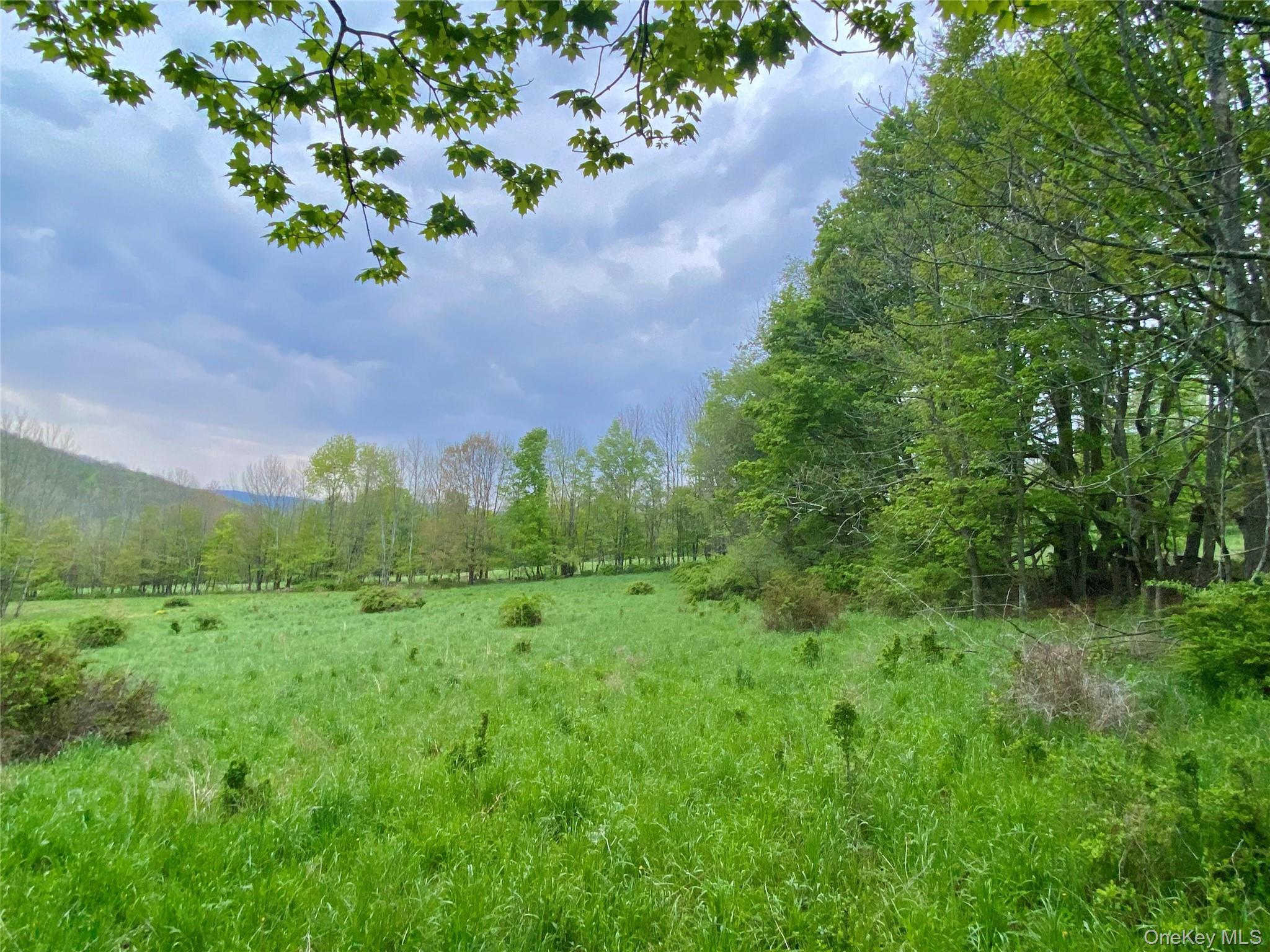 301 & 305 Hust Road Hust – For Sale photo 15
