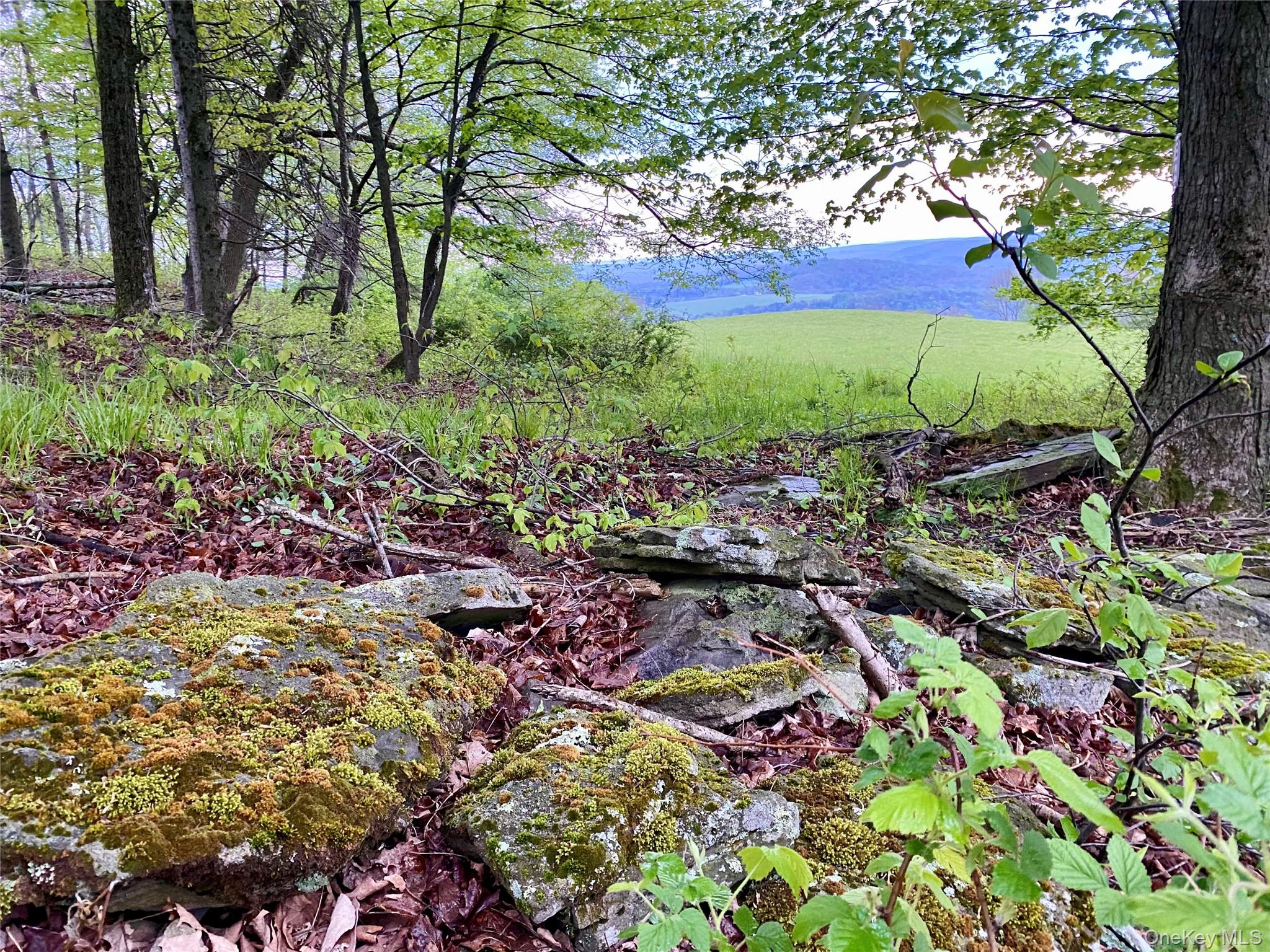 301 & 305 Hust Road Hust – For Sale photo 11