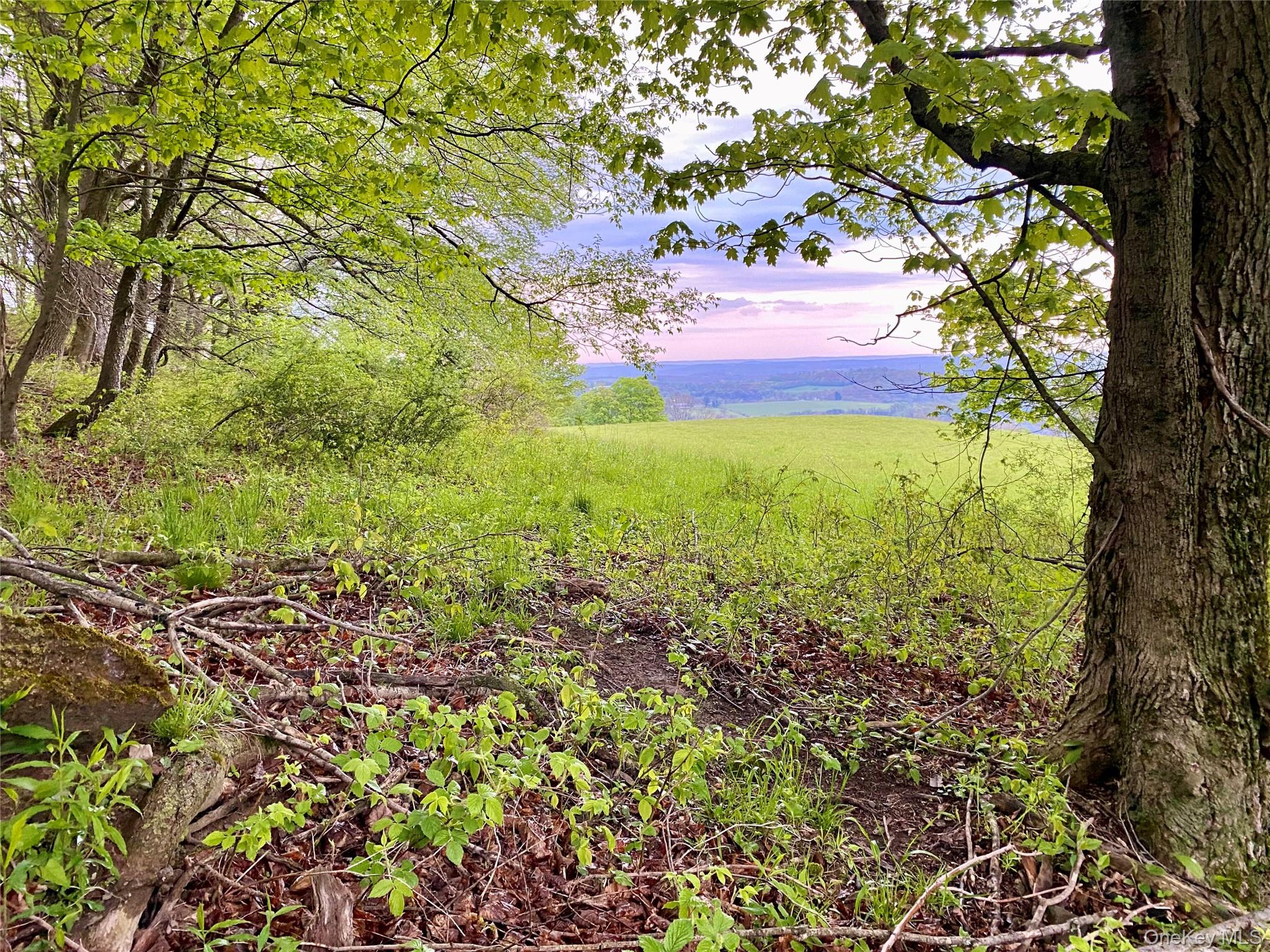 301 & 305 Hust Road Hust – For Sale