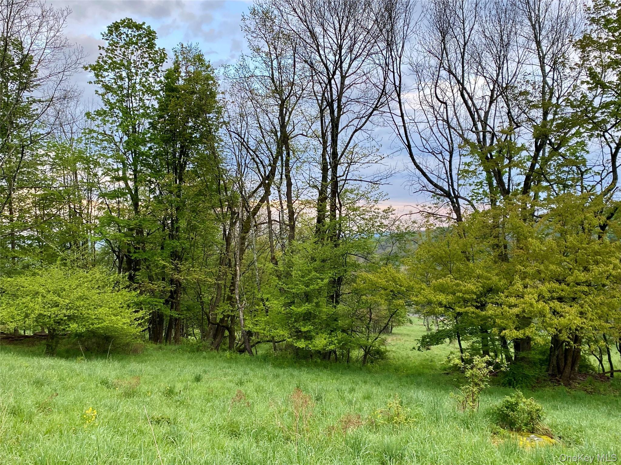 301 & 305 Hust Road Hust – For Sale photo 6