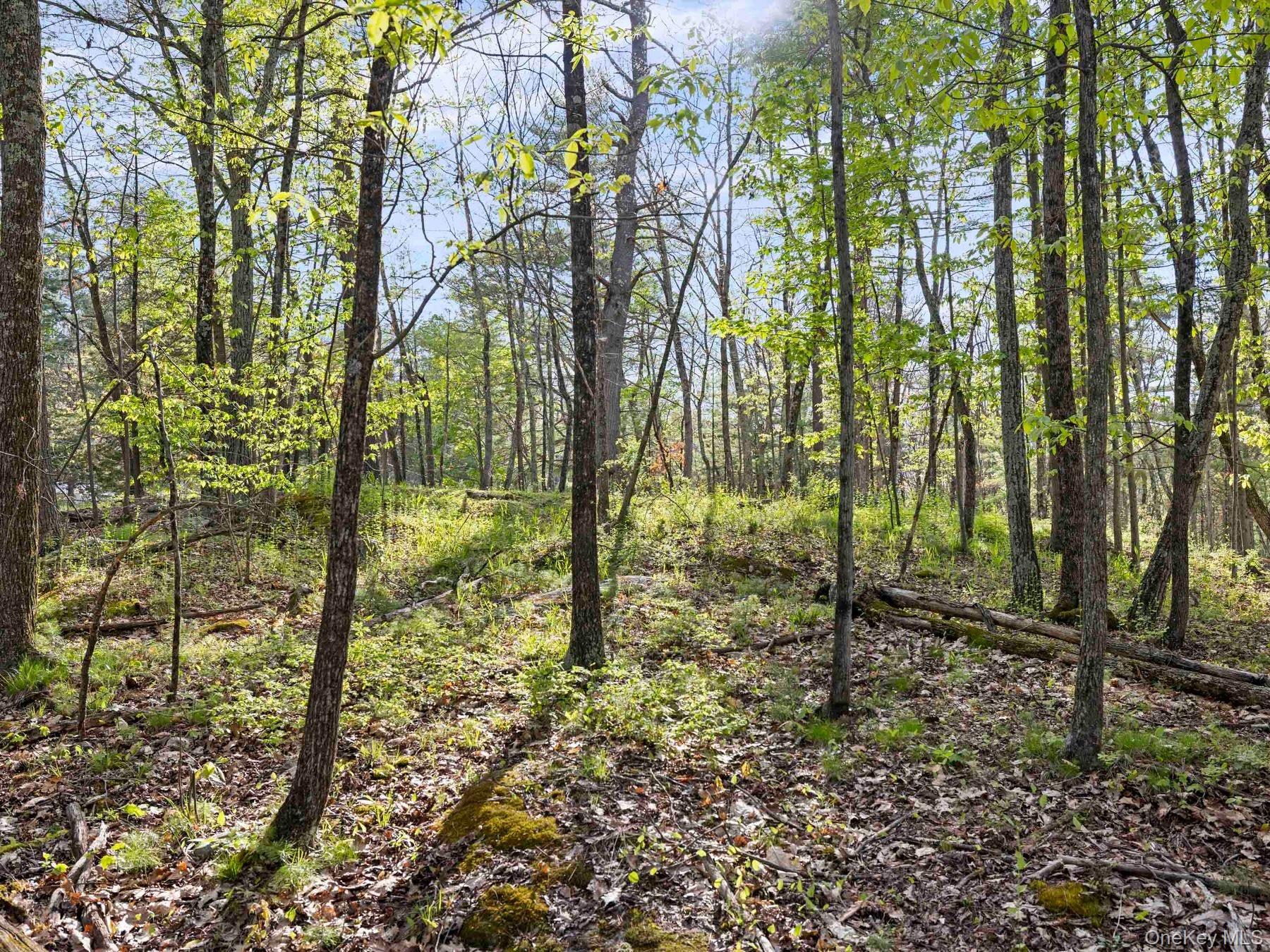 TBD Route 44/55 – For Sale photo 16