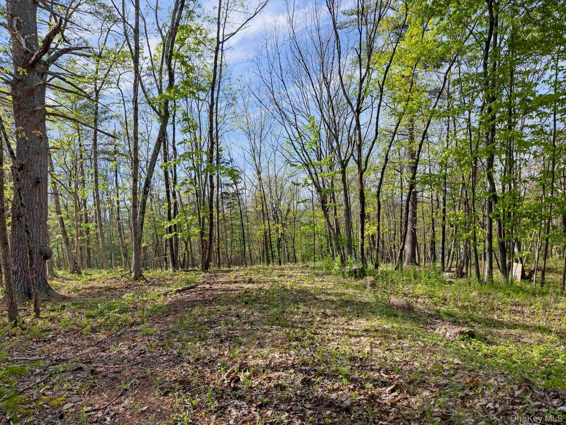 TBD Route 44/55 – For Sale photo 17