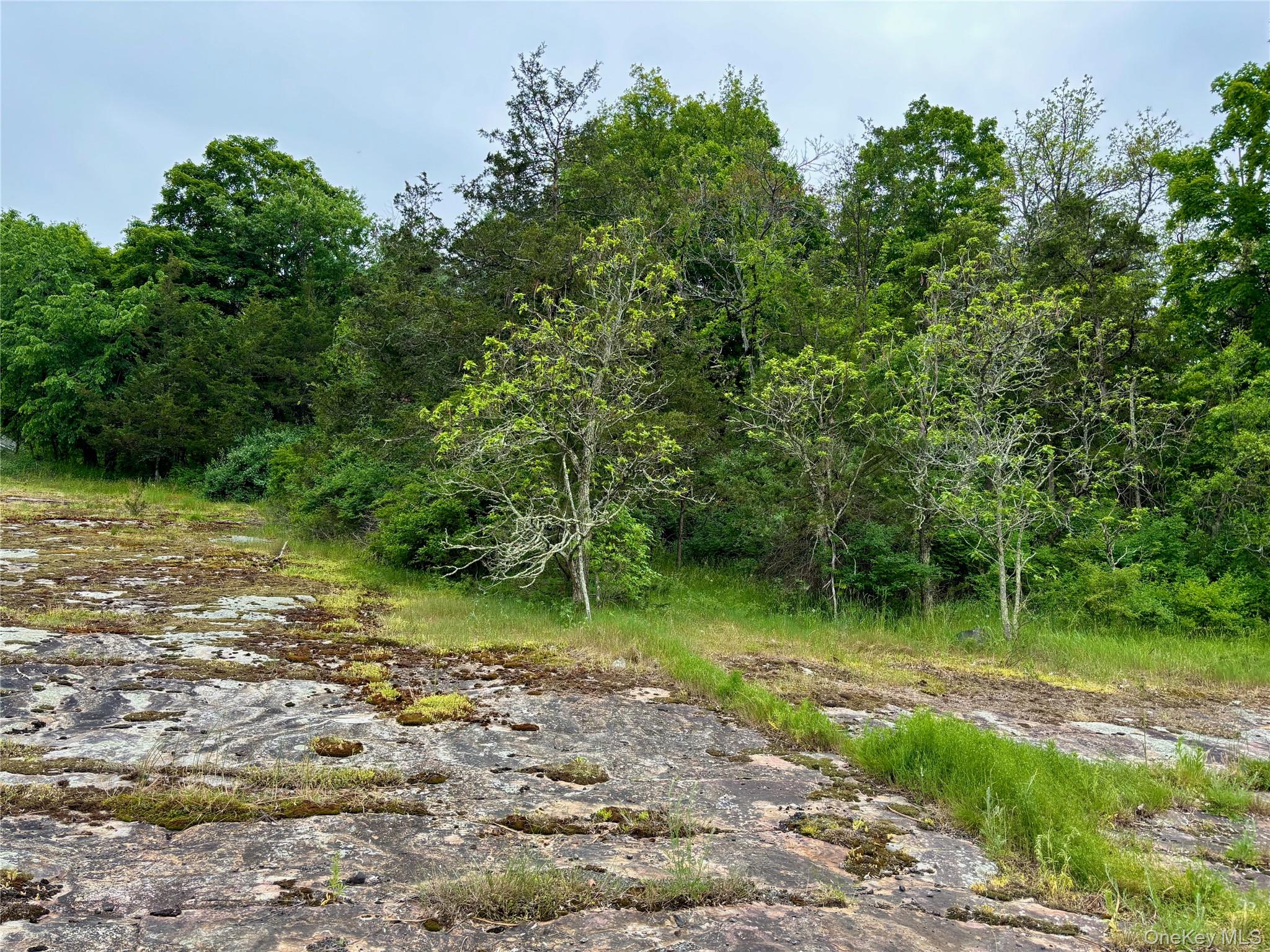 TBD Route 44/55 – For Sale photo 10