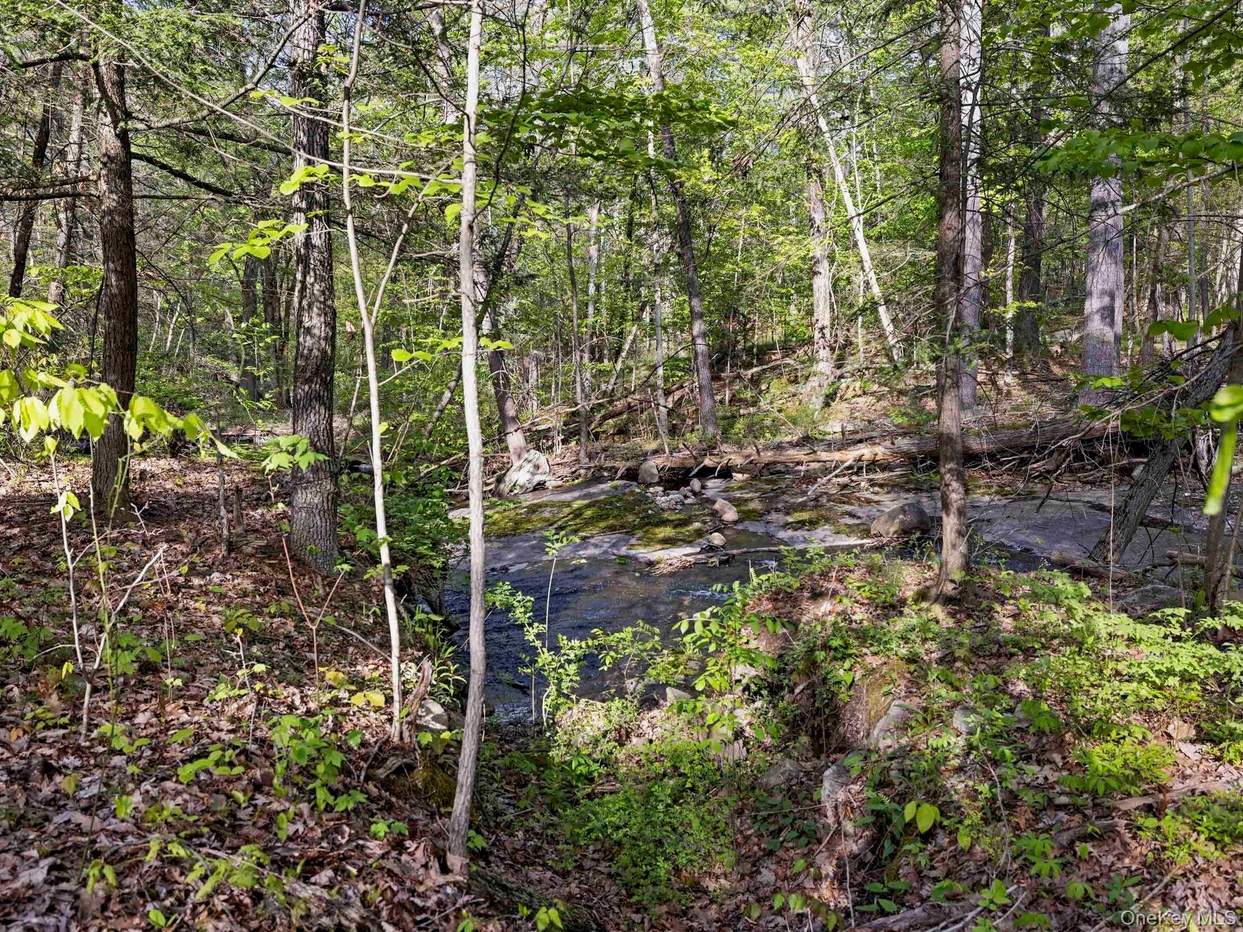 TBD Route 44/55 – For Sale photo 15