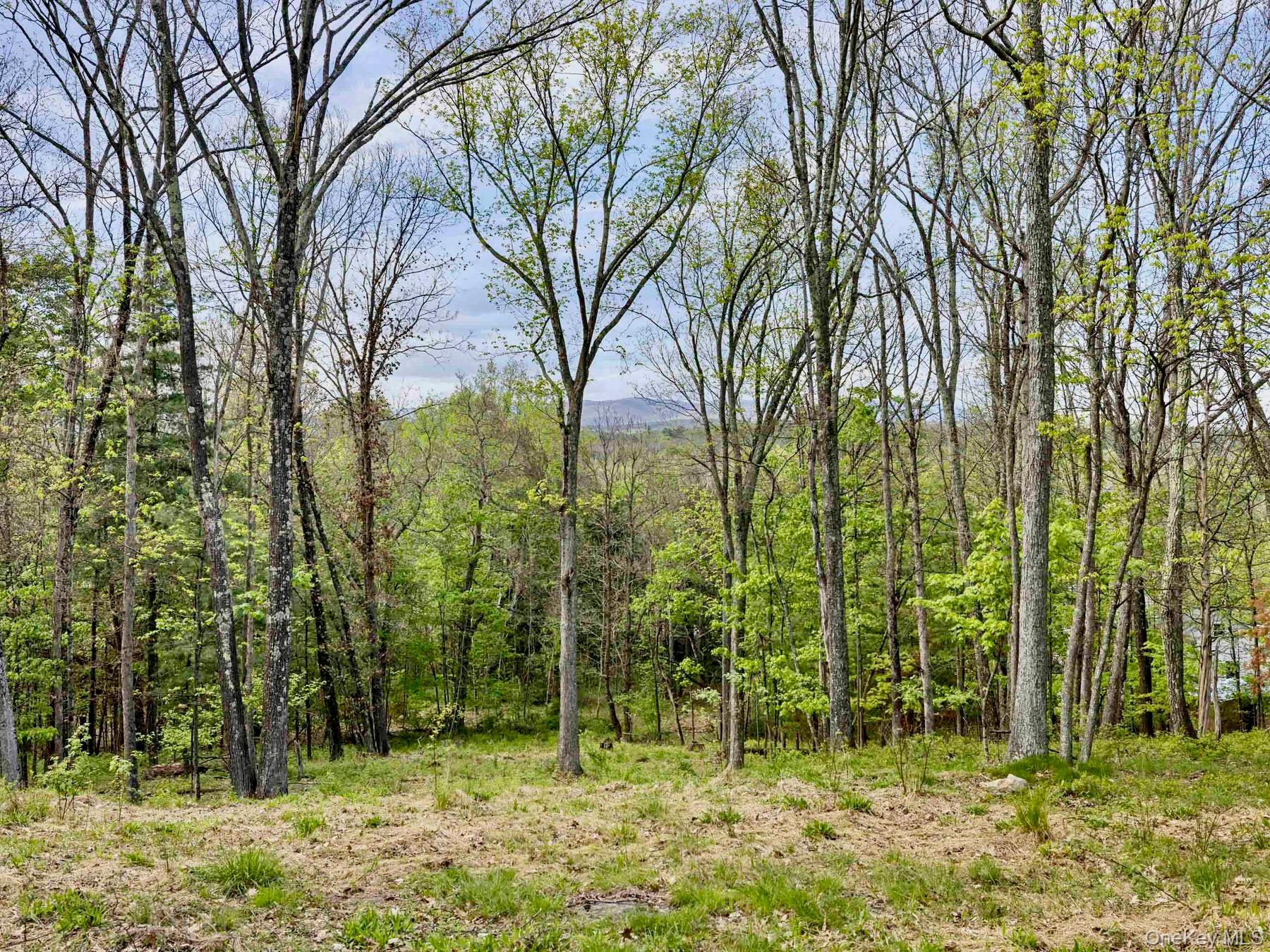 TBD Route 44/55 – For Sale photo 5