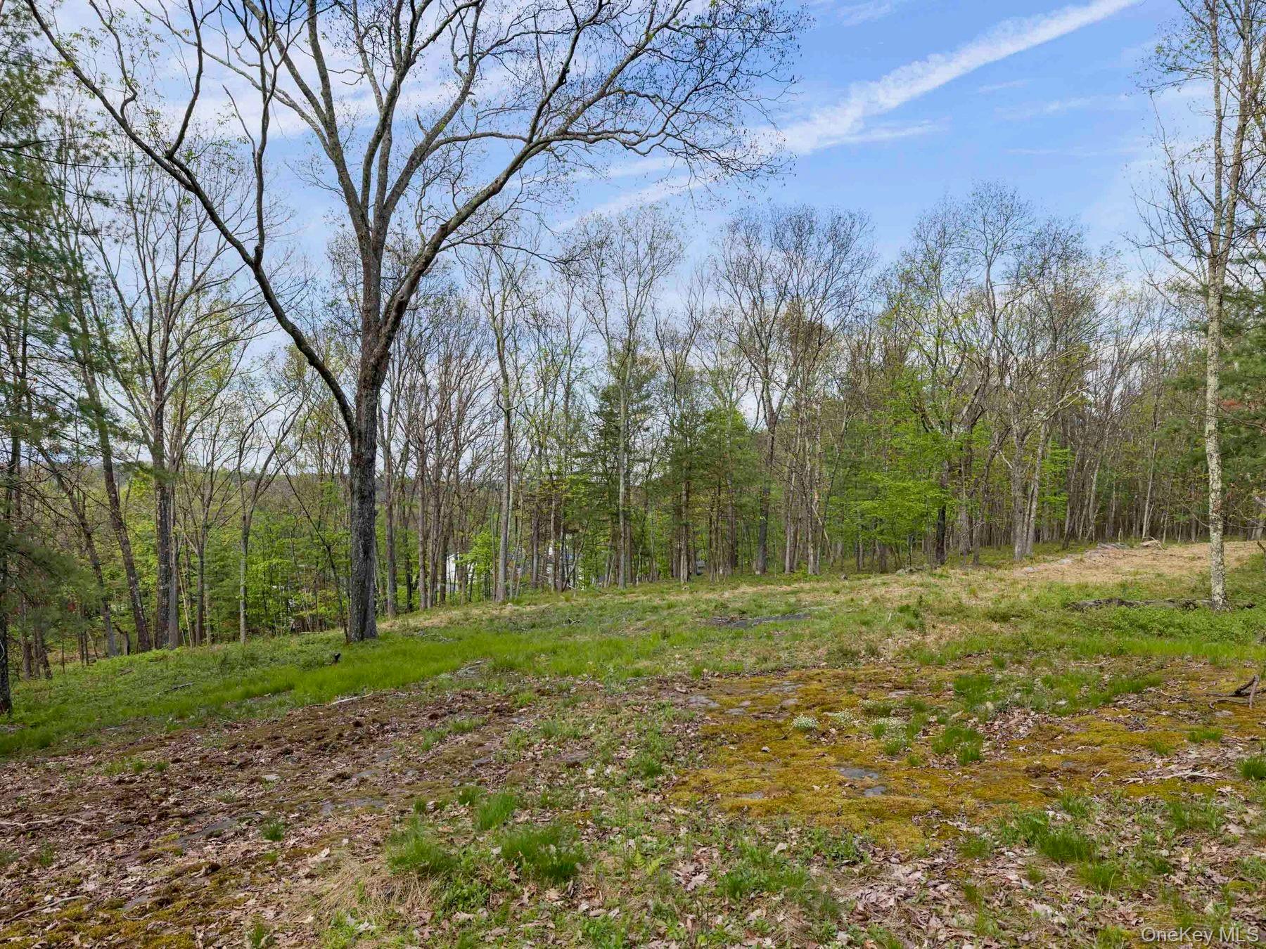 TBD Route 44/55 – For Sale photo 4