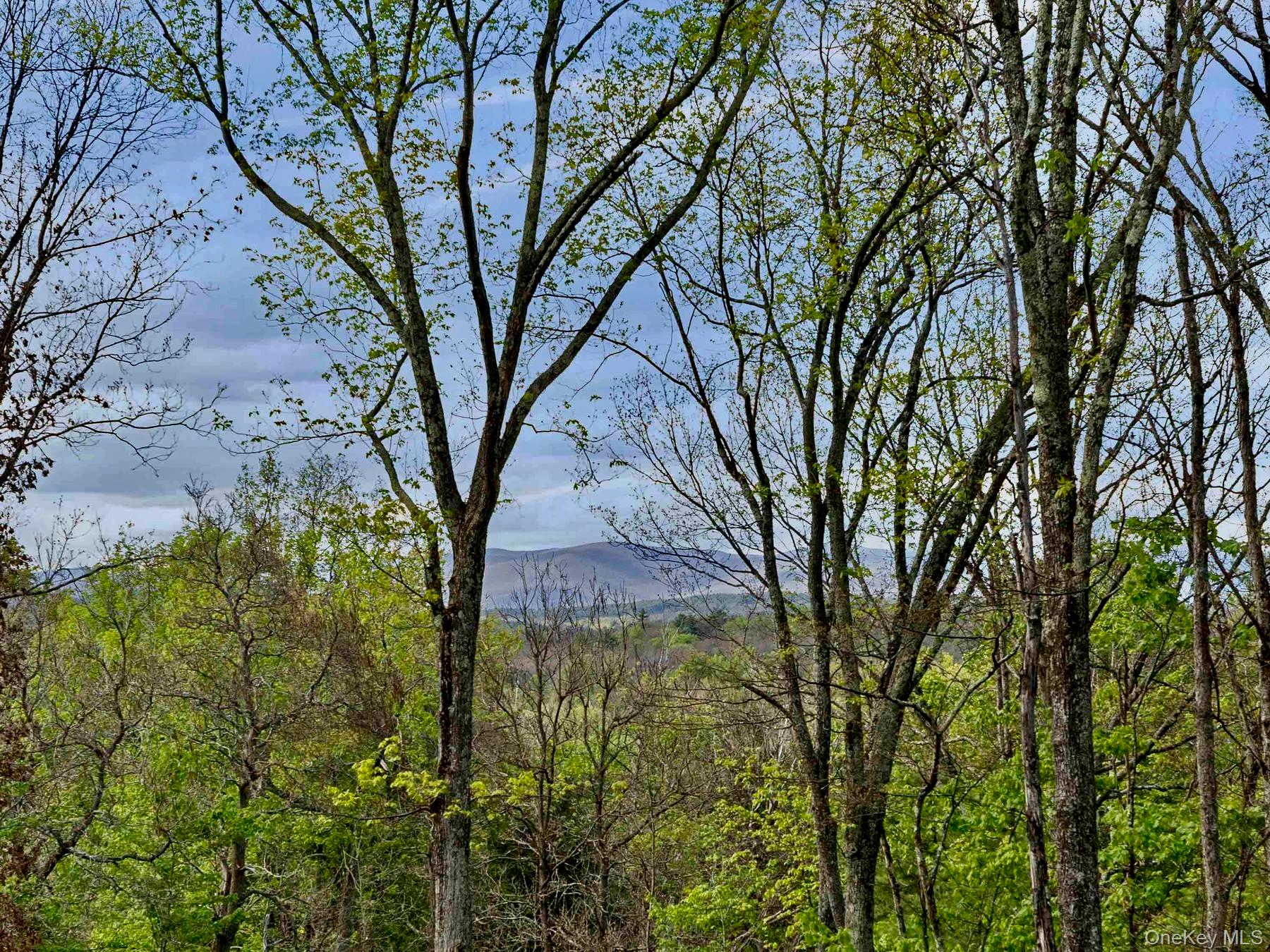 TBD Route 44/55 – For Sale