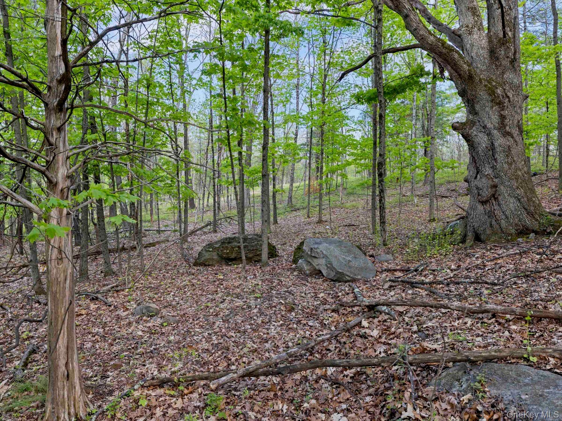 TBD Route 44/55 – For Sale photo 12