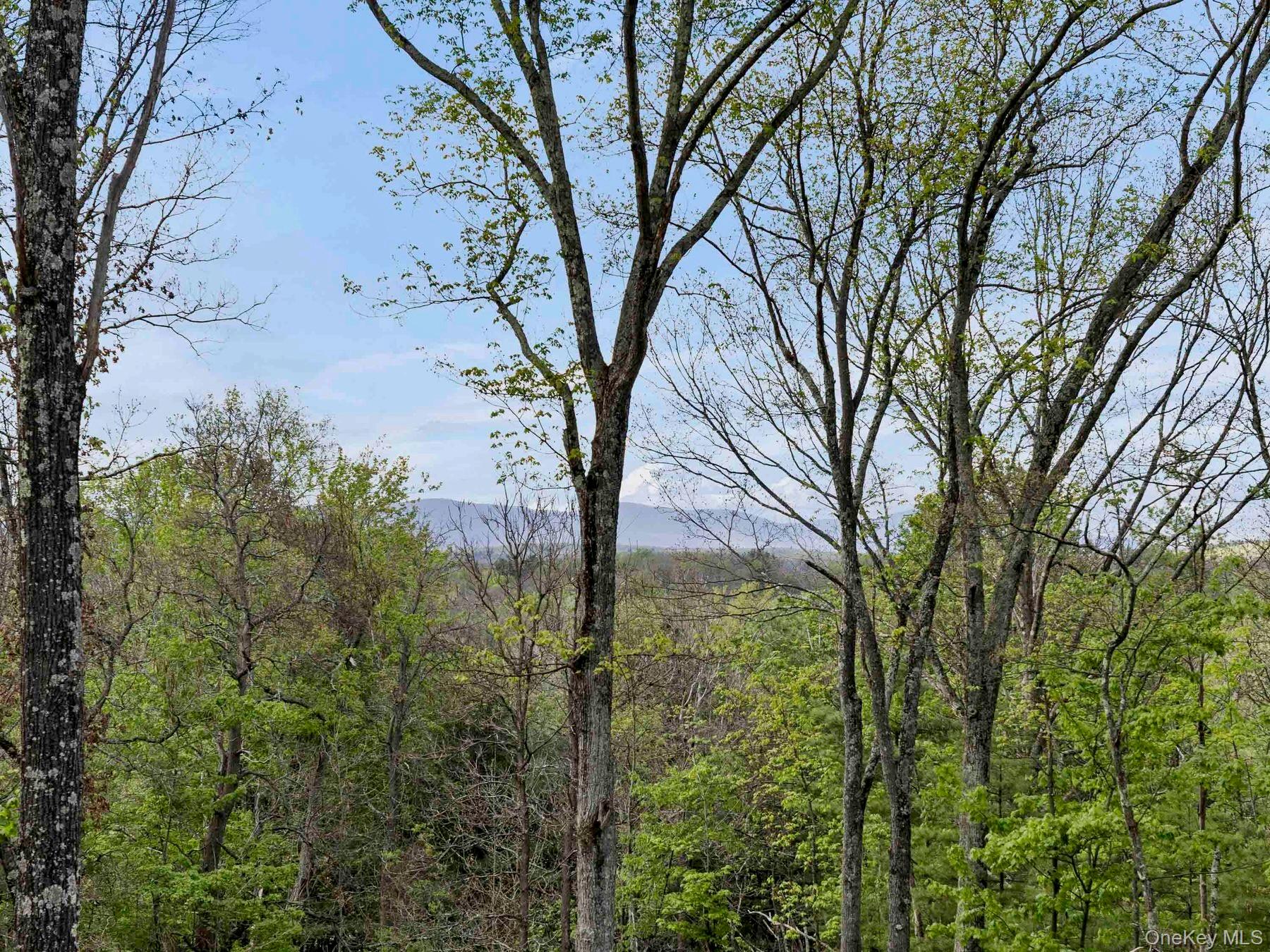 TBD Route 44/55 – For Sale photo 19