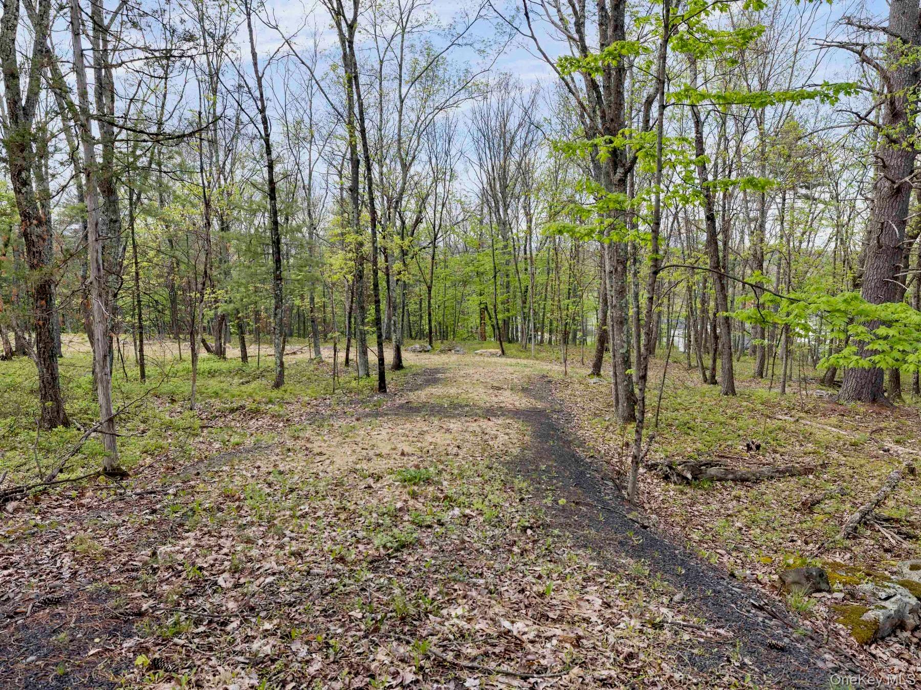 TBD Route 44/55 – For Sale photo 6
