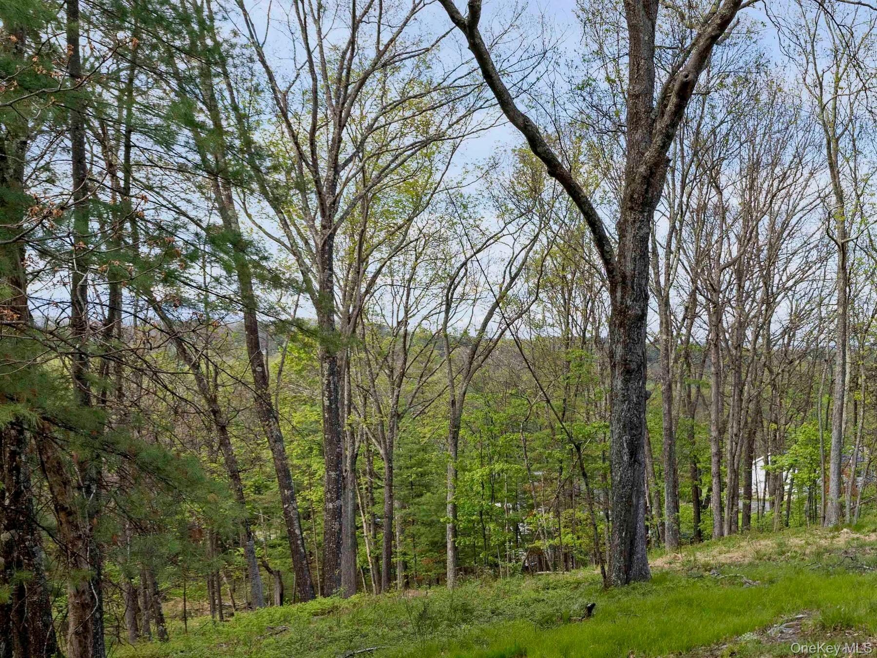 TBD Route 44/55 – For Sale photo 18