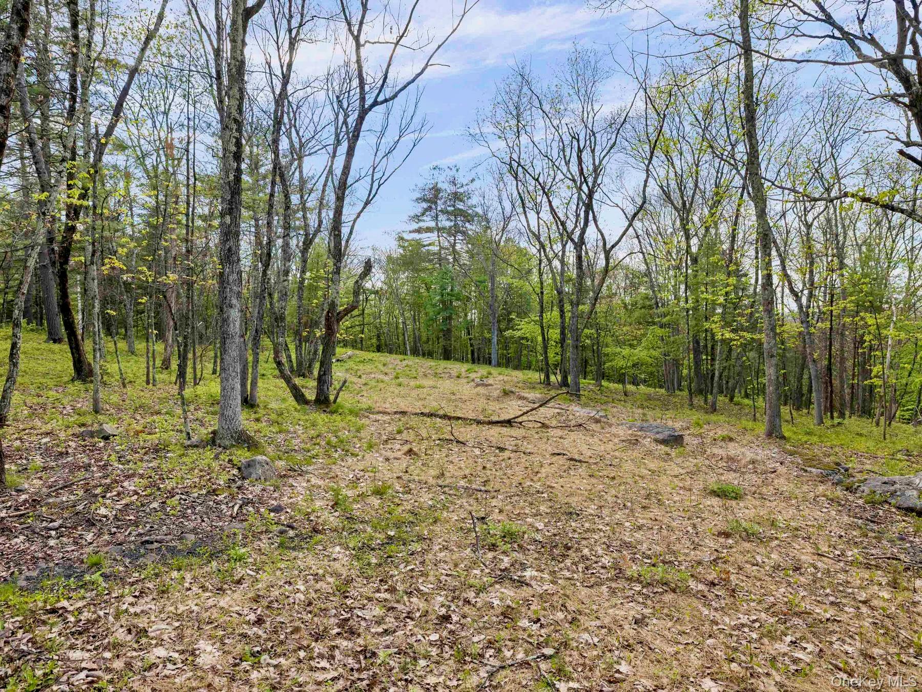 TBD Route 44/55 – For Sale photo 2