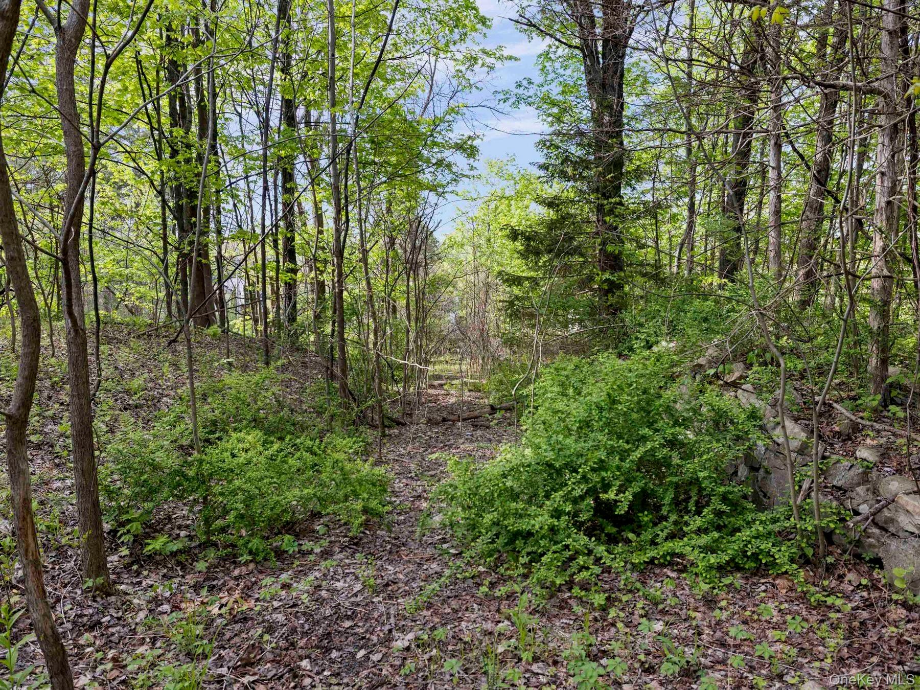 TBD Route 44/55 – For Sale photo 9