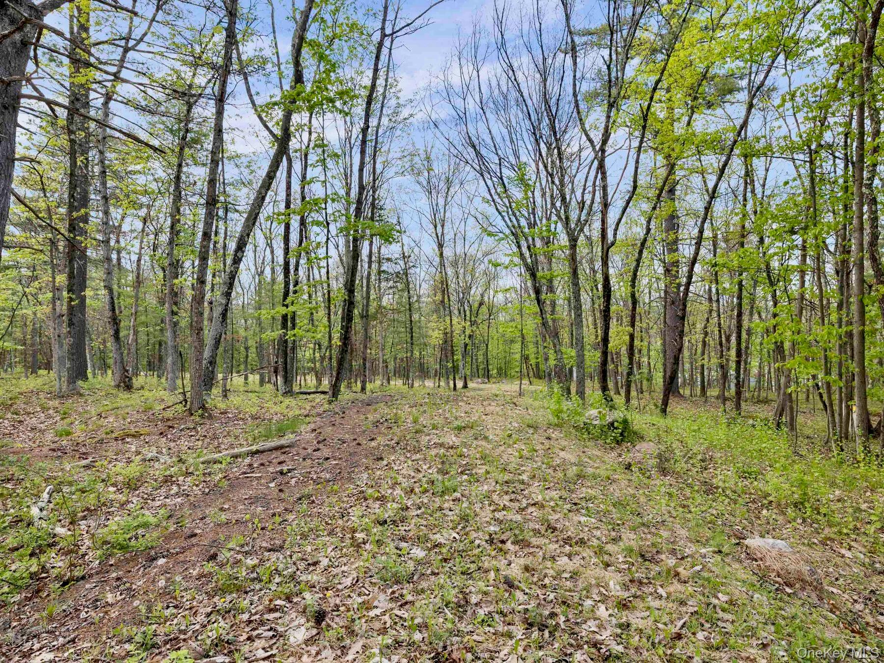 TBD Route 44/55 – For Sale photo 3