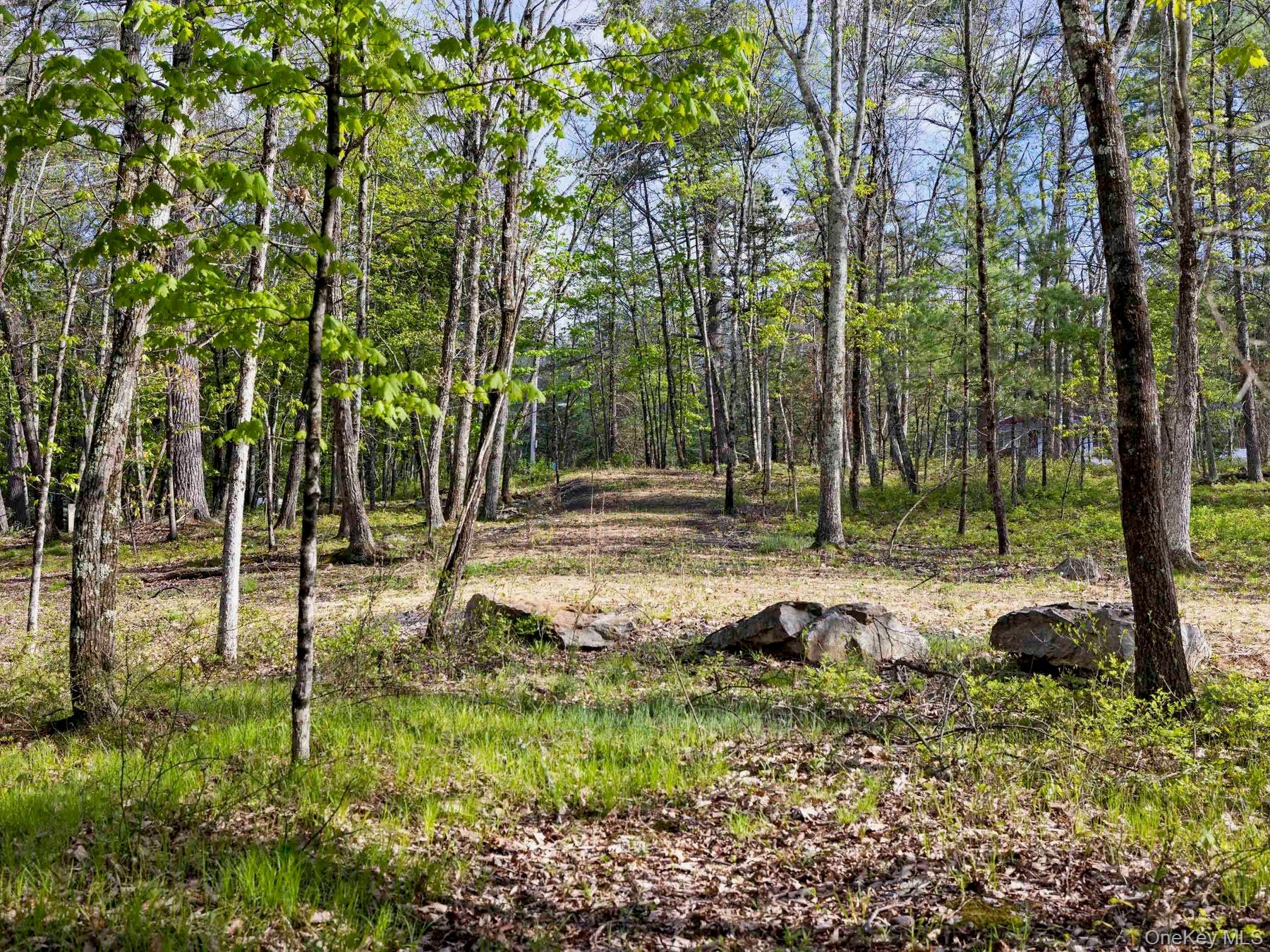 TBD Route 44/55 – For Sale photo 13