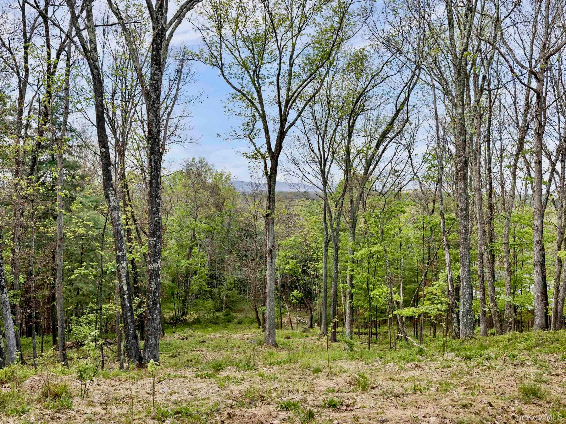 TBD Route 44/55 – For Sale photo 8