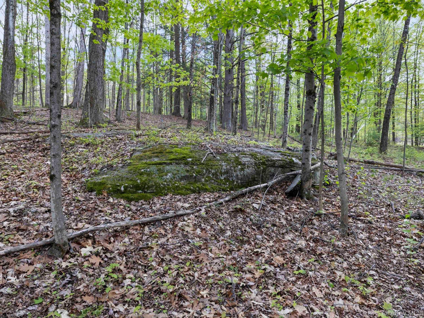 TBD Route 44/55 – For Sale photo 11