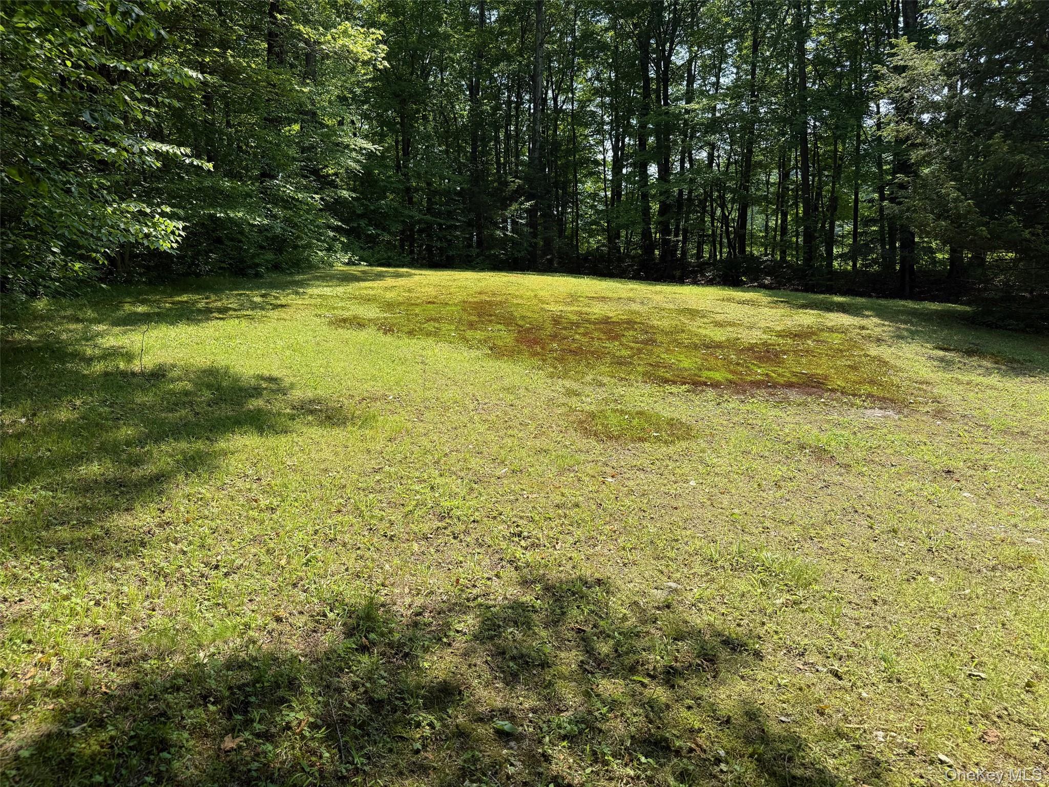 230 Cooper – For Sale photo 19