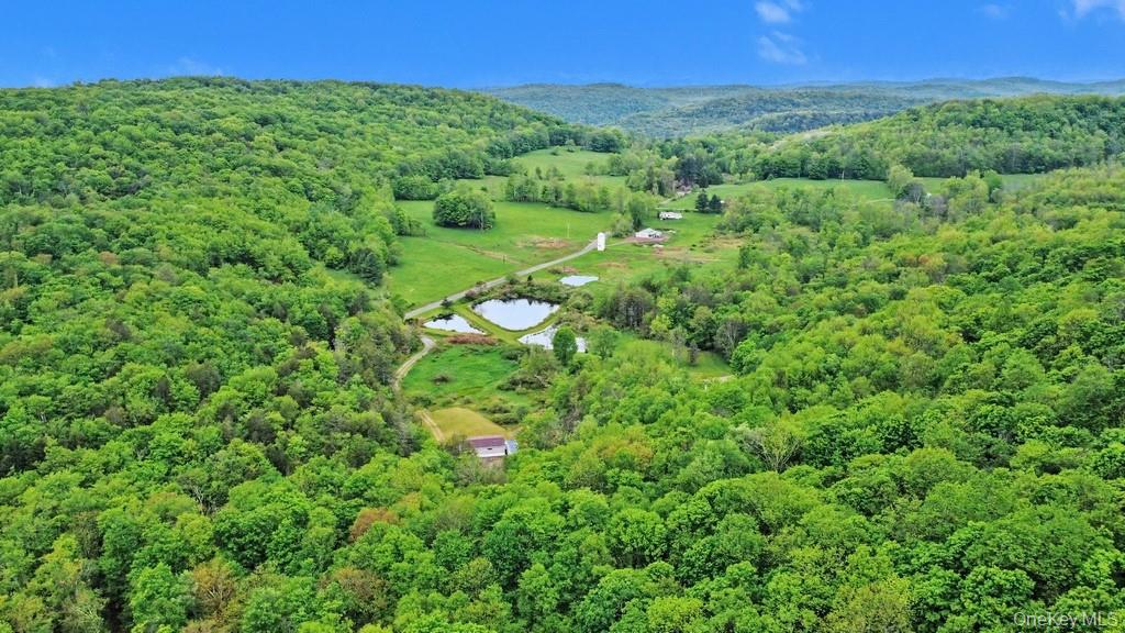 308 William Brown Road – For Sale photo 33