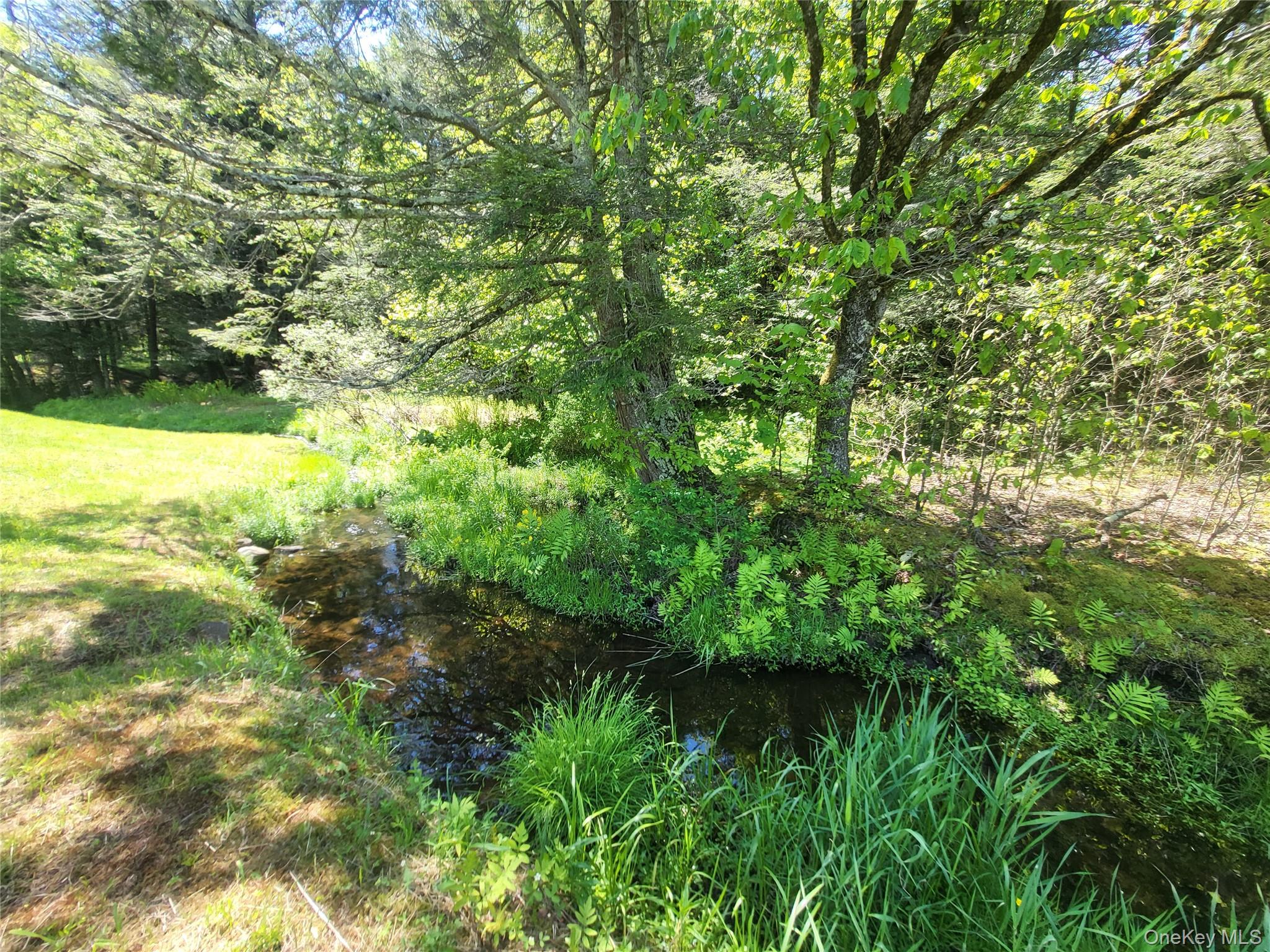 308 William Brown Road – For Sale photo 30