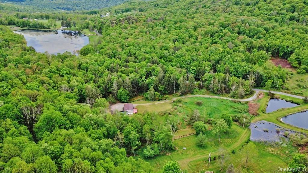 308 William Brown Road – For Sale photo 6