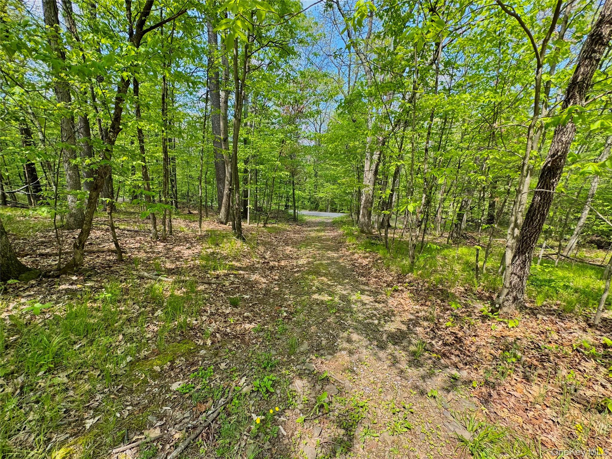 TBD Bill Matter Road – For Sale photo 12