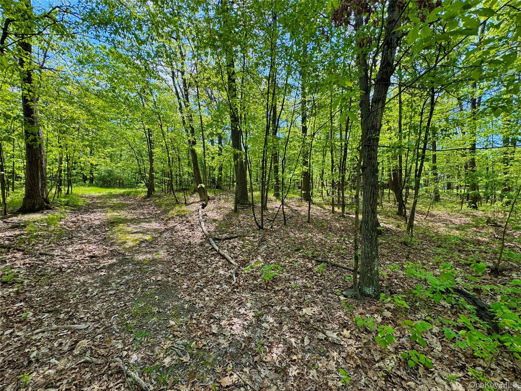 TBD Bill Matter Road – For Sale photo 7