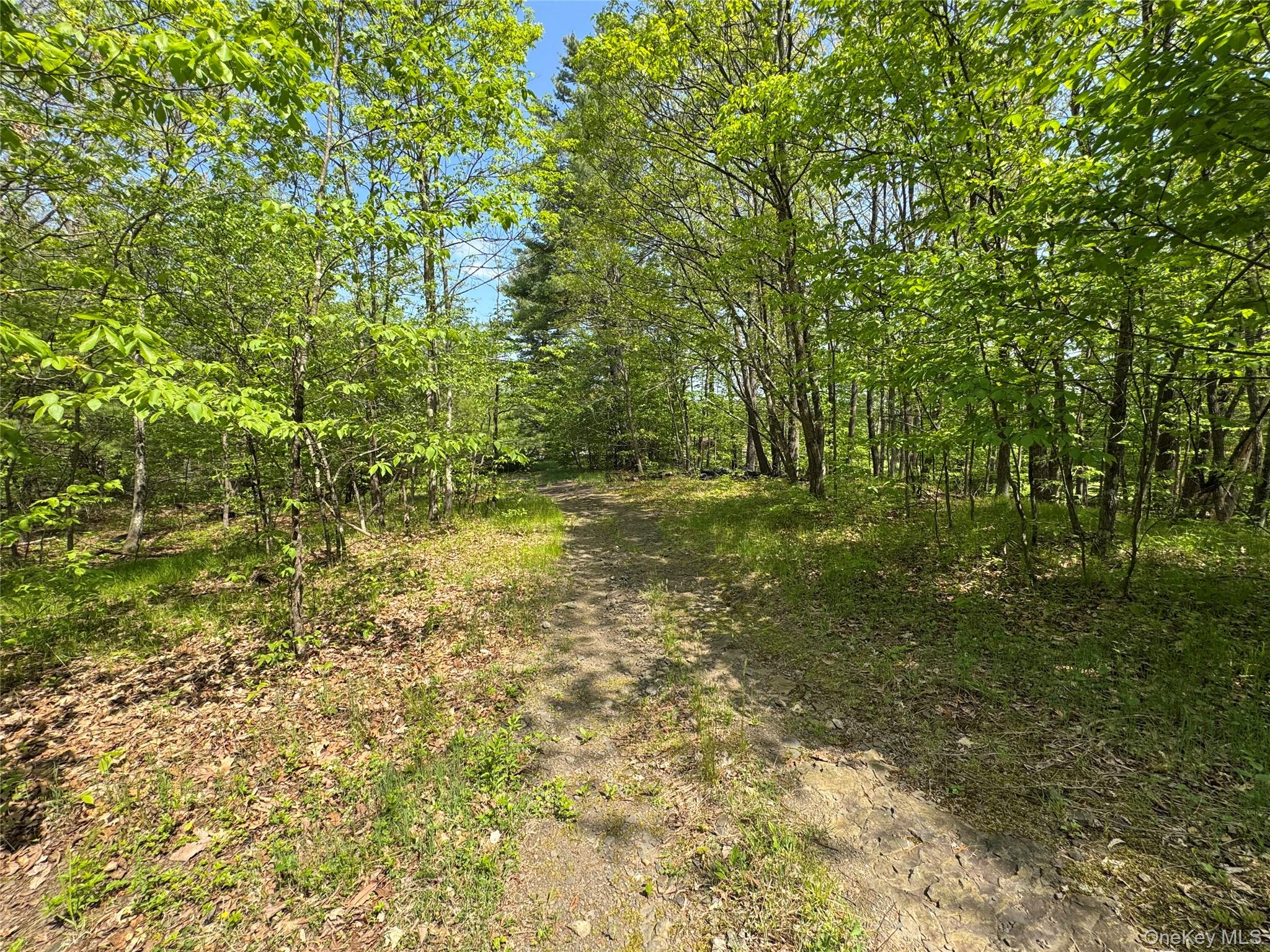 TBD Bill Matter Road – For Sale photo 10