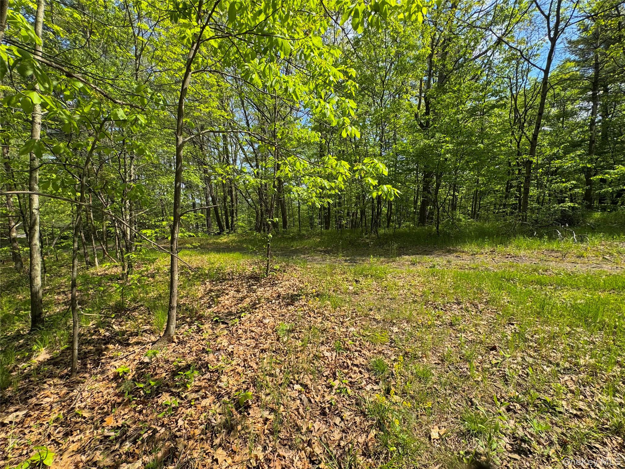 TBD Bill Matter Road – For Sale photo 8