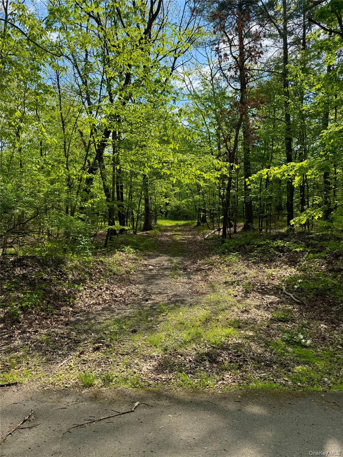 TBD Bill Matter Road – For Sale photo 5