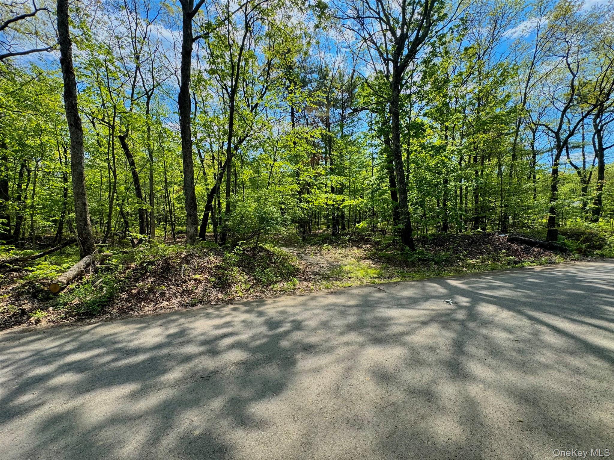 TBD Bill Matter Road – For Sale photo 17