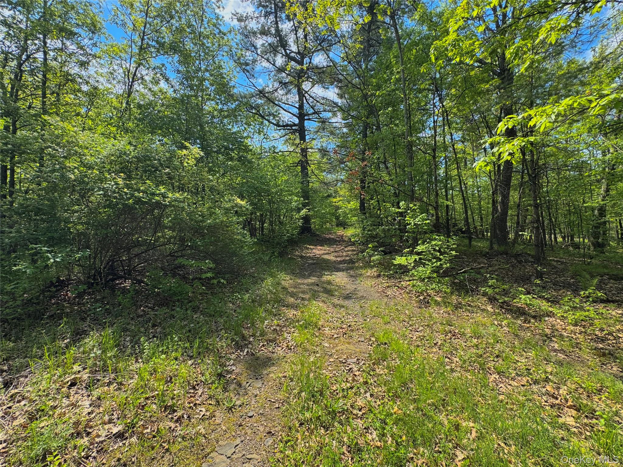 TBD Bill Matter Road – For Sale photo 11