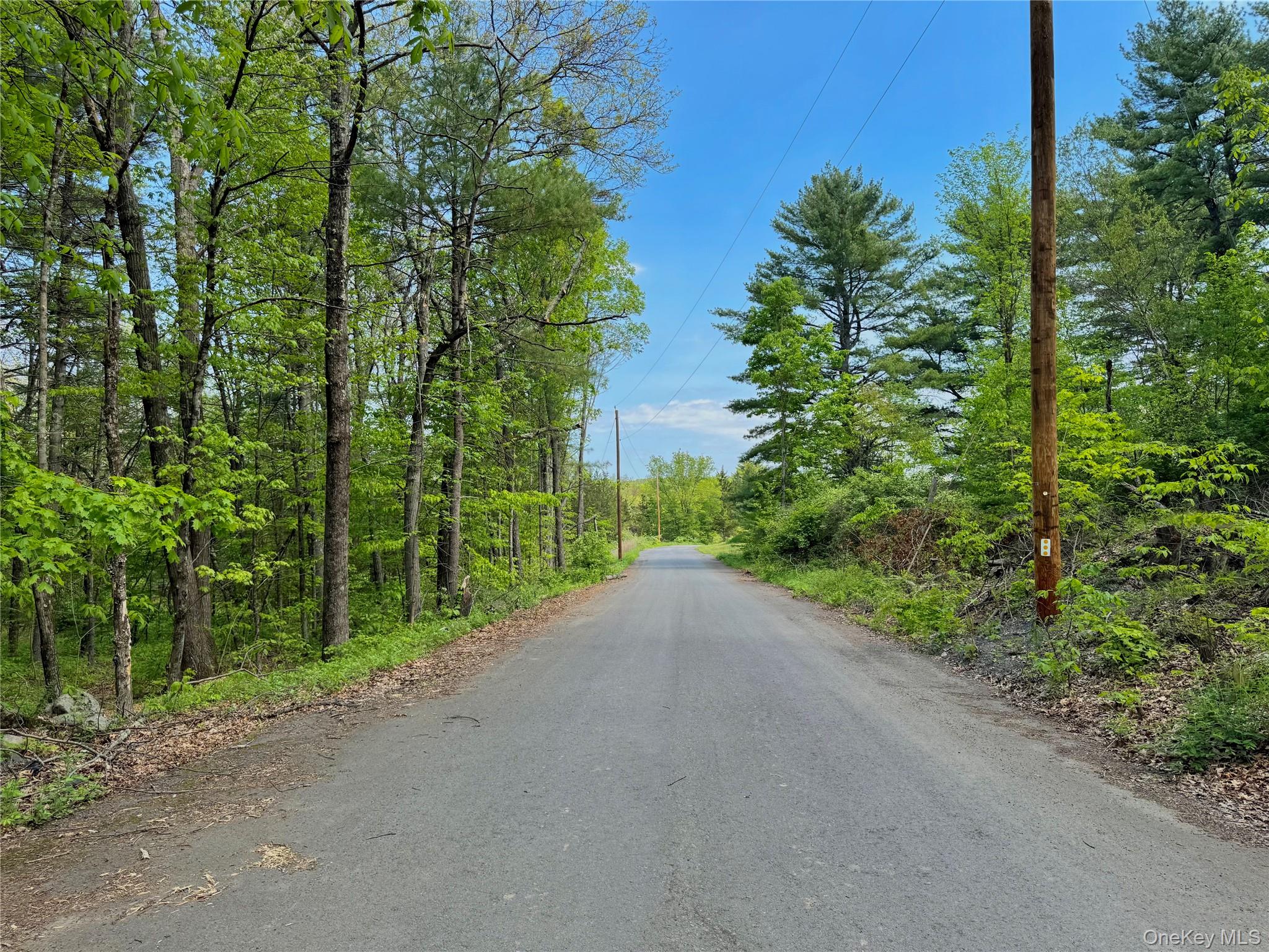TBD Bill Matter Road – For Sale photo 15