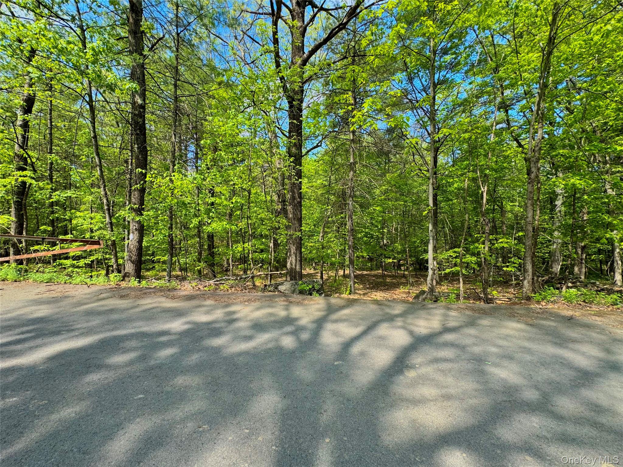 TBD Bill Matter Road – For Sale photo 16