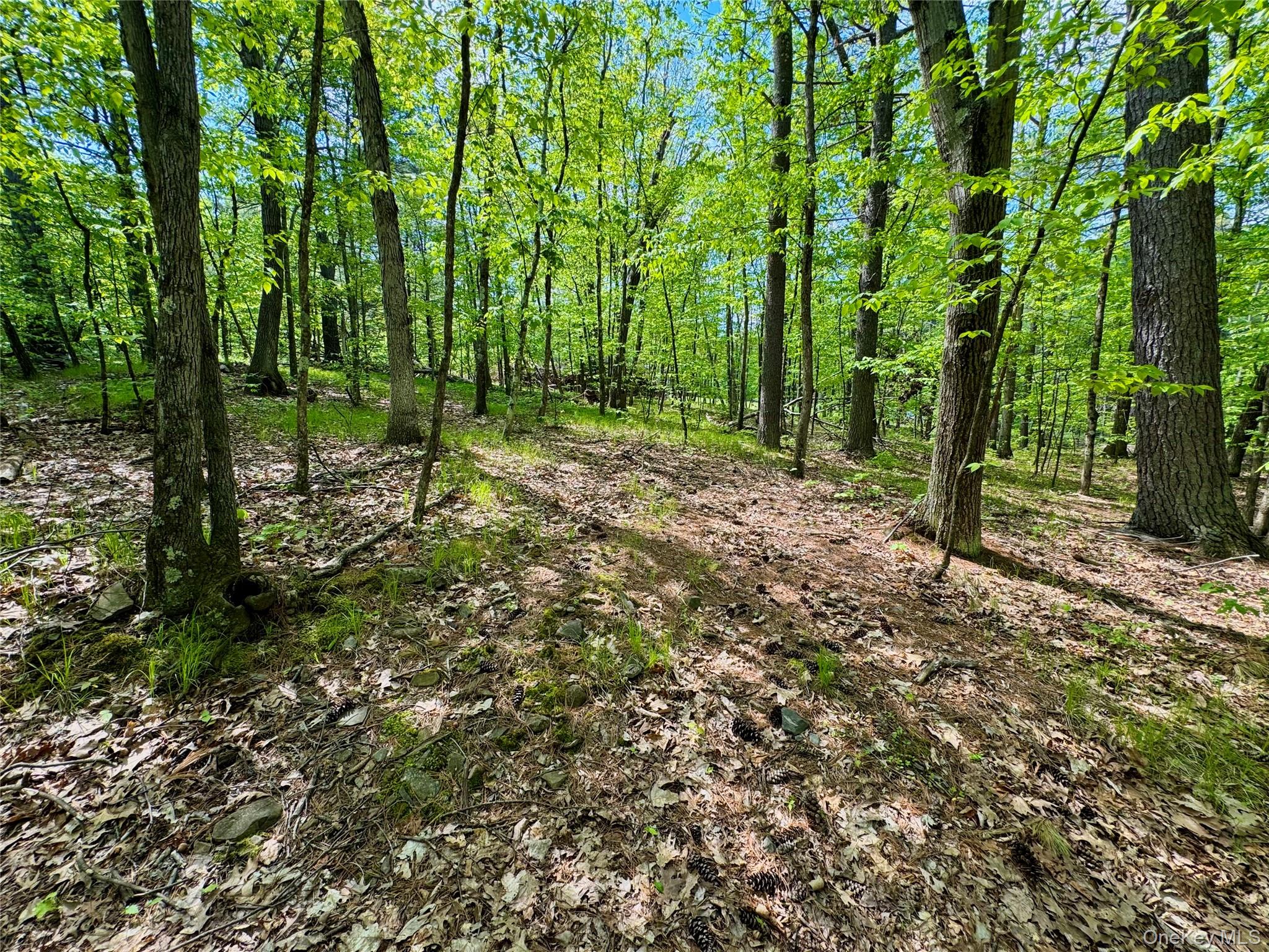 TBD Bill Matter Road – For Sale photo 13